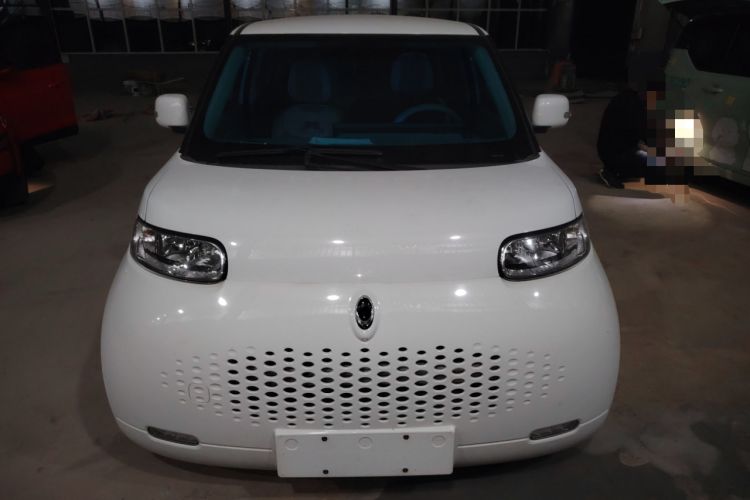 Used ORA White Cat 2020 360km Standard Version Exterior 1