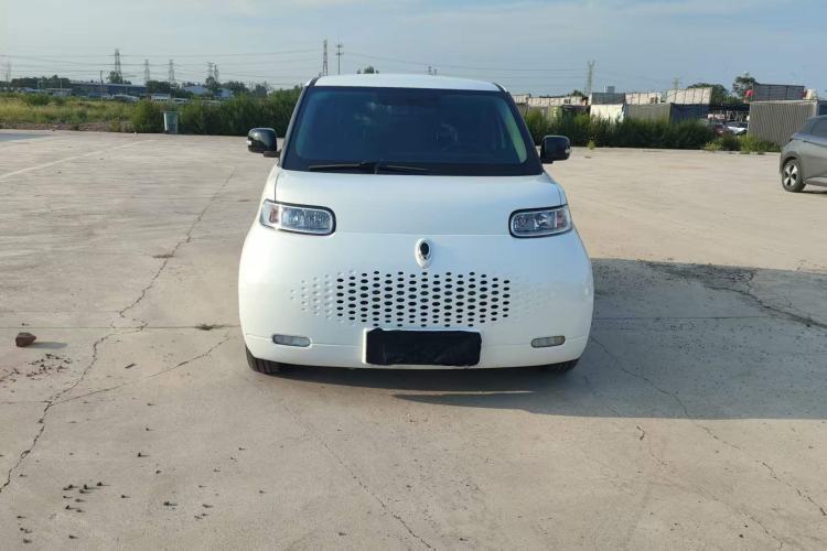 Used ORA White Cat 2020 401 km Long-Range Version Exterior 2