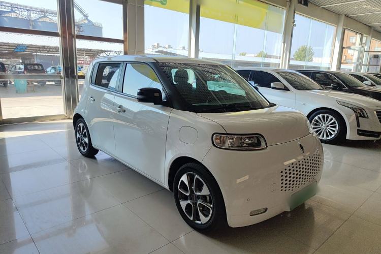 Used ORA White Cat 2020 401 km Flagship Version Exterior 2