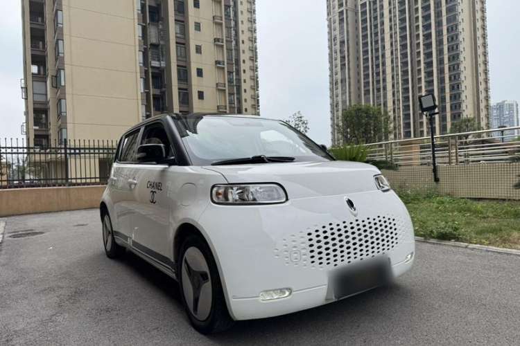 Used ORA White Cat 2020 401 km Long-Range Version Exterior 2