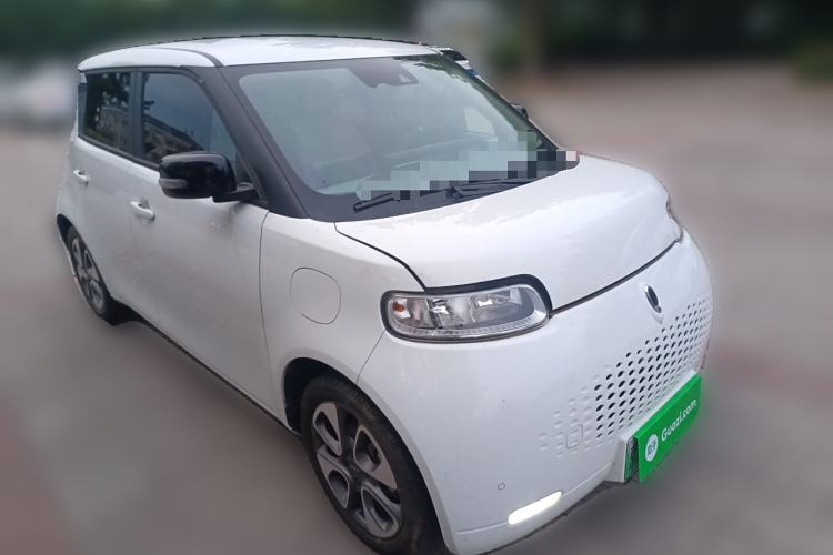 Used ORA White Cat 2020 401 km Flagship Version Exterior 2