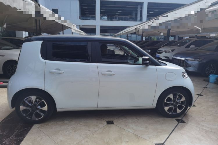 Used ORA White Cat 2020 401 km Flagship Version Exterior 2