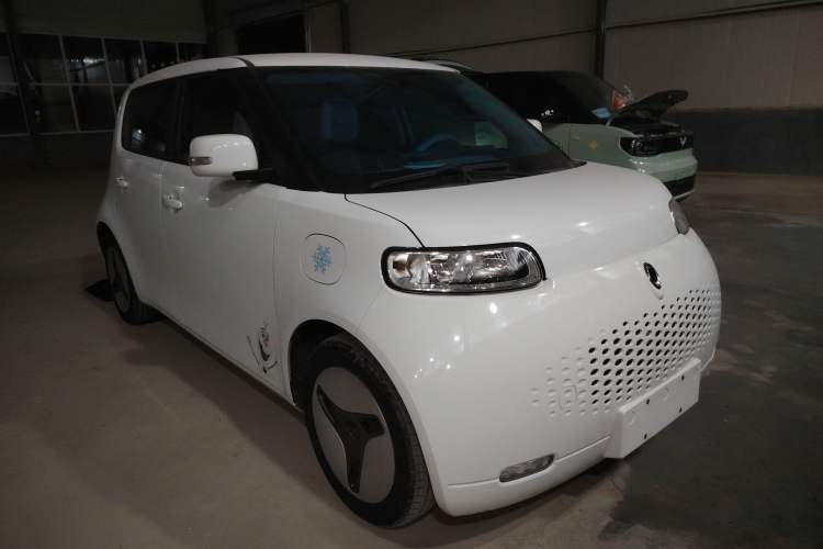 Used ORA White Cat 2020 360km Standard Version Exterior 2