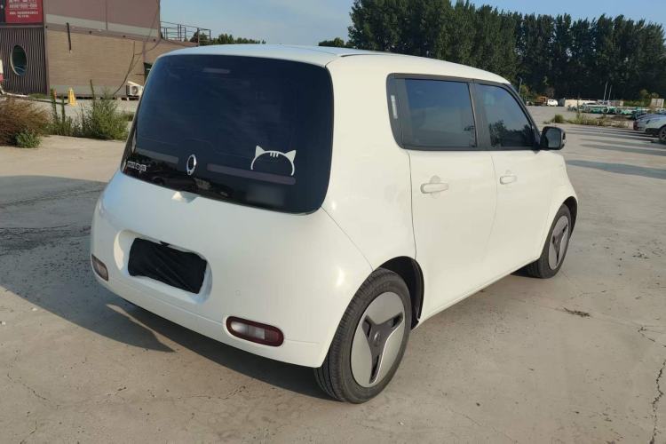 Used ORA White Cat 2020 401 km Long-Range Version Exterior 3