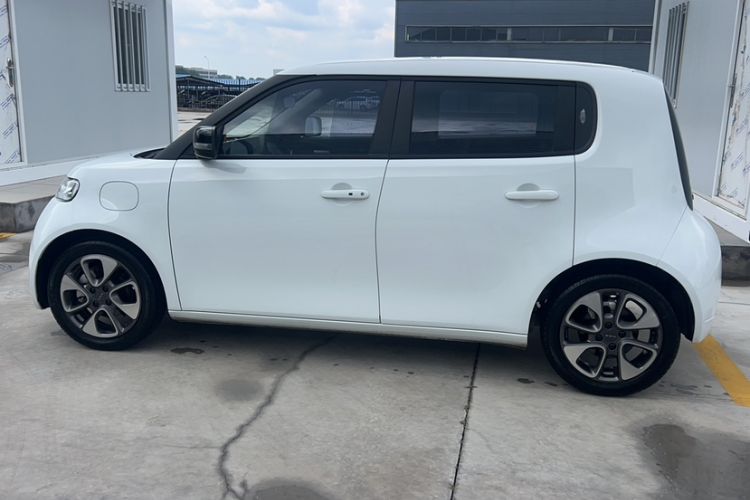 Used ORA White Cat 2020 401 km Flagship Version Exterior 3