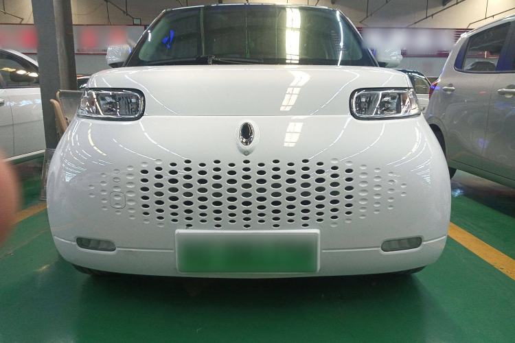 Used ORA White Cat 2020 305 km Luxury Version Exterior 4