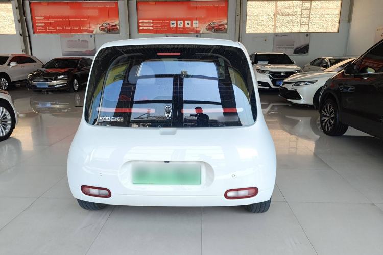 Used ORA White Cat 2020 401 km Flagship Version Exterior 4