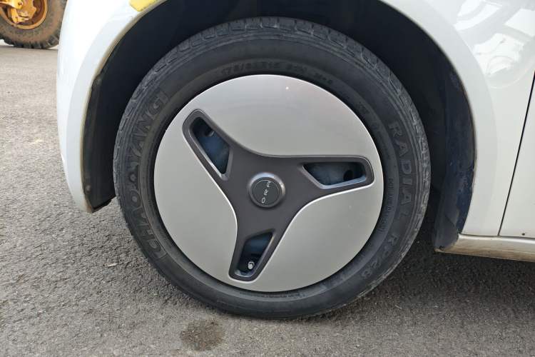 Used ORA White Cat 2020 360 km Luxury Version Exterior 4