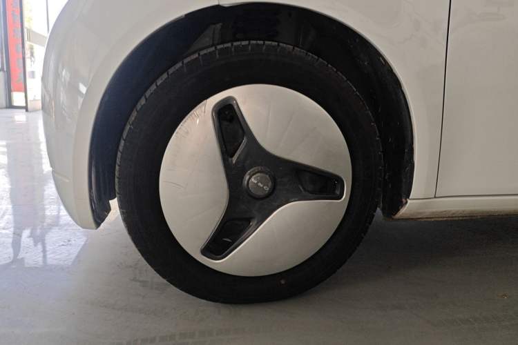Used ORA White Cat 2020 360km Standard Version Exterior 4