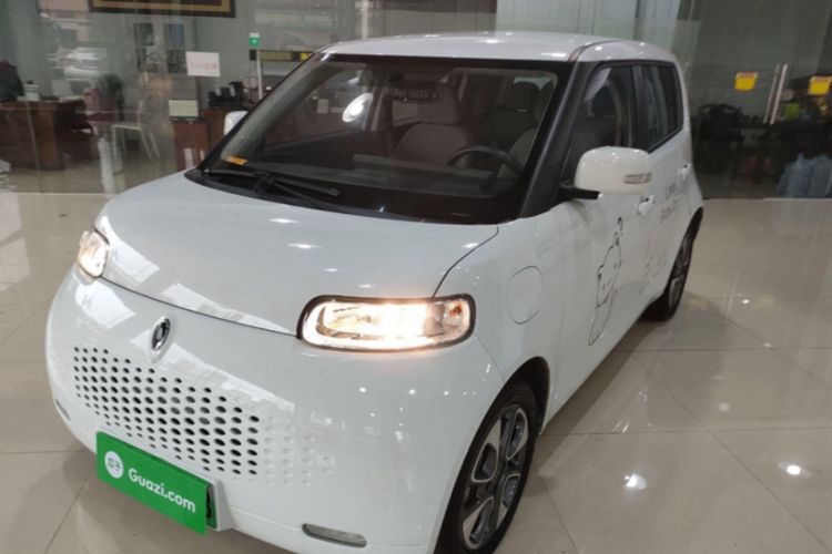 Used ORA White Cat 2020 305 km Luxury Version Exterior 5