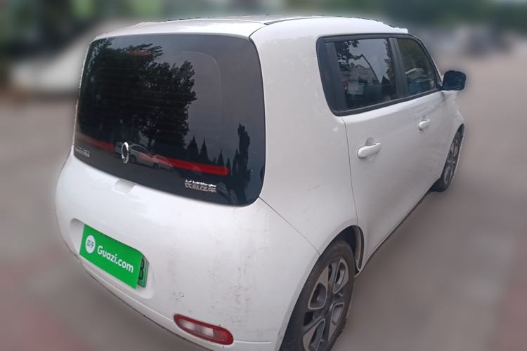 Used ORA White Cat 2020 401 km Flagship Version Exterior 5
