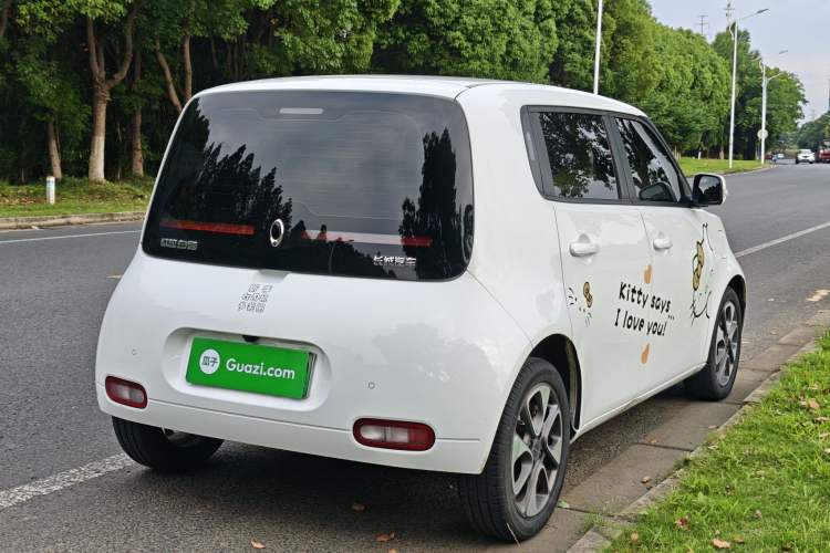 Used ORA White Cat 2020 305 km Luxury Version Exterior 5