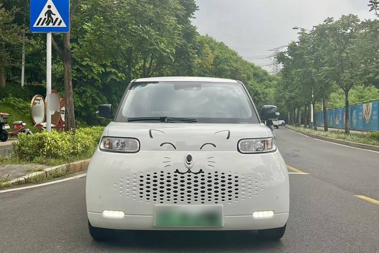 Used ORA White Cat 2020 401 km Flagship Version Exterior 6