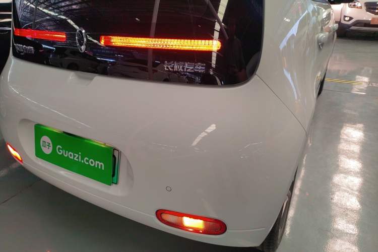 Used ORA White Cat 2020 305 km Luxury Version Exterior 6