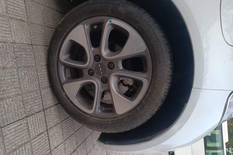 Used ORA White Cat 2020 401 km Flagship Version Exterior 7