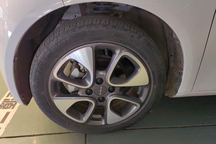 Used ORA White Cat 2020 305 km Luxury Version Exterior 7