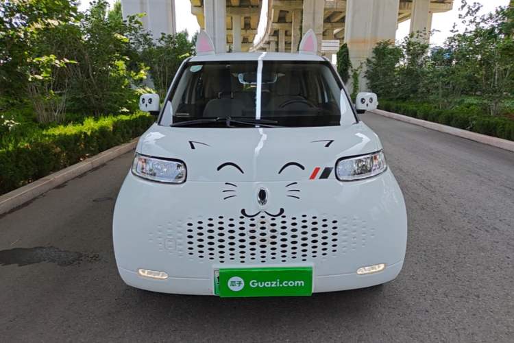Used ORA White Cat 2020 360 km Luxury Version Front