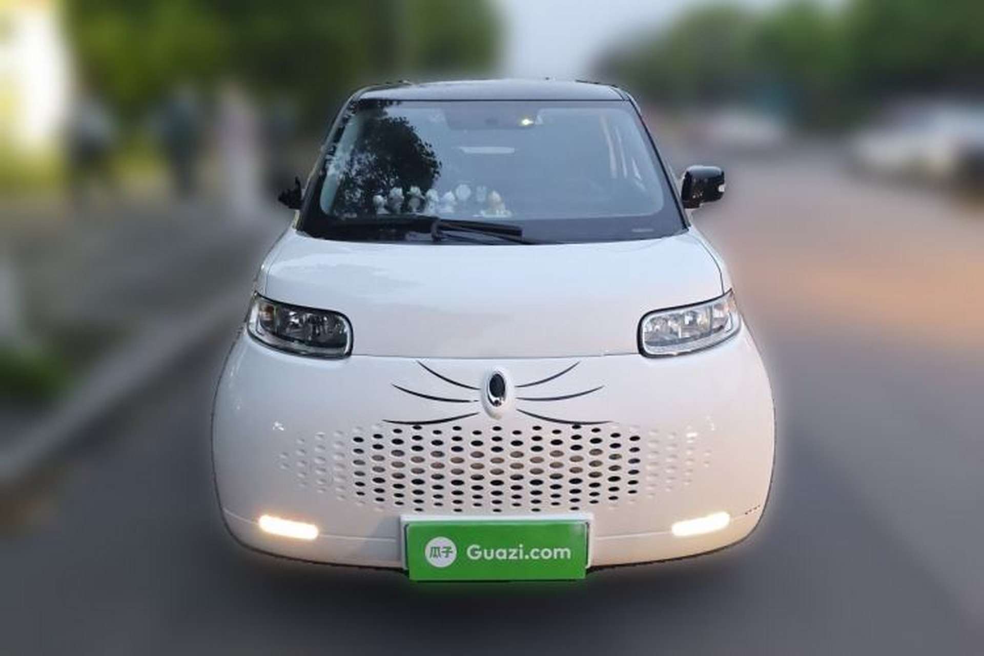 Used ORA White Cat 2020 305 km Luxury Version Front