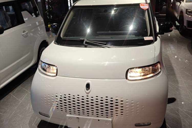 Used ORA White Cat 2020 305 km Luxury Version Front