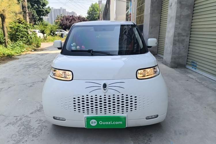 Used ORA White Cat 2020 305 km Luxury Version Front