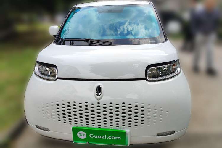 Used ORA White Cat 2020 360 km Luxury Version Front