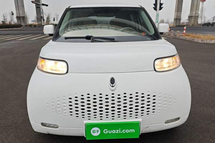 Used ORA White Cat 2020 305 km Luxury Version Front