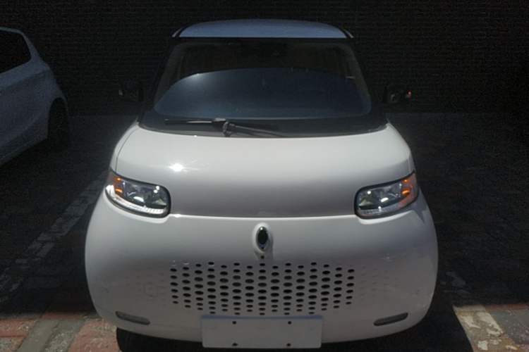 Used ORA White Cat 2020 401 km Flagship Version Front