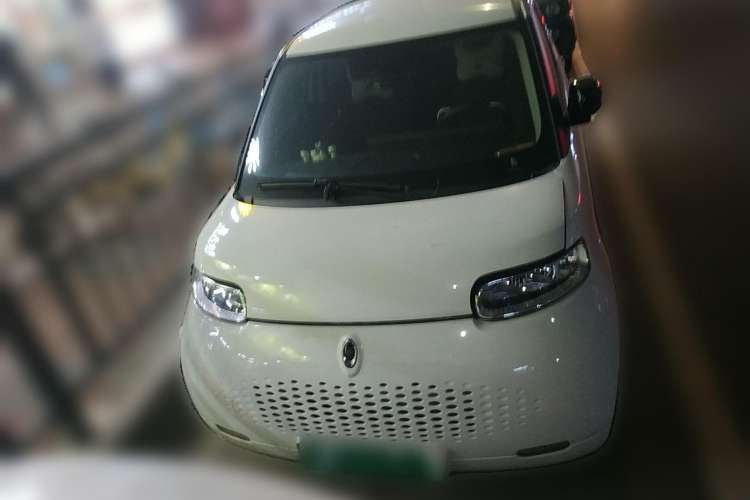 Used ORA White Cat 2020 401 km Long-Range Version Front
