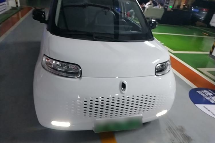 Used ORA White Cat 2020 401 km Long-Range Version Front