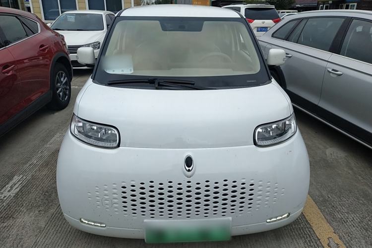 Used ORA White Cat 2020 360km Standard Version Front