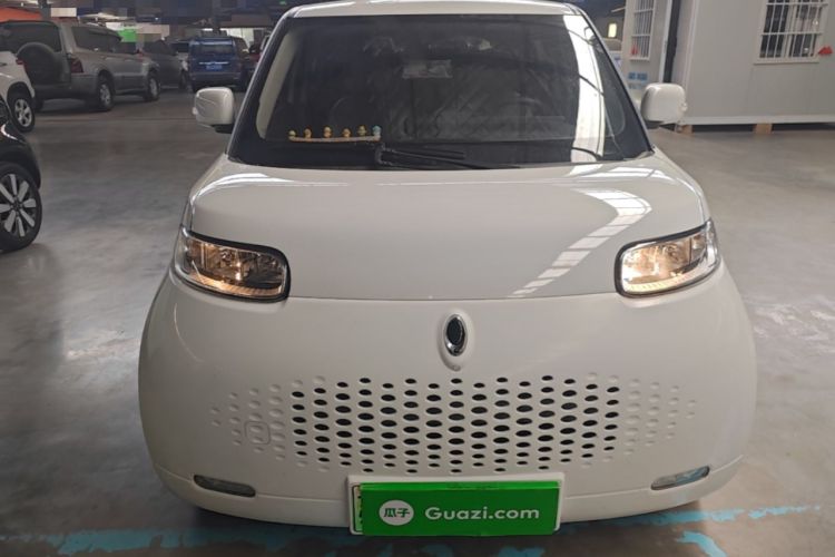 Used ORA White Cat 2020 305 km Luxury Version Front