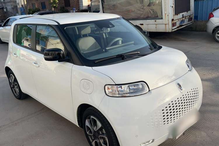 Used ORA White Cat 2020 401 km Flagship Version Front Right 45 Deg