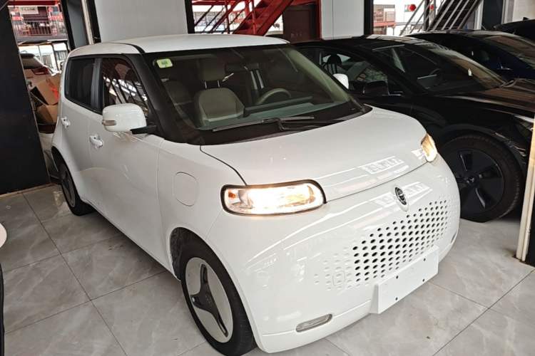 Used ORA White Cat 2020 360 km Luxury Version Front Right 45 Deg