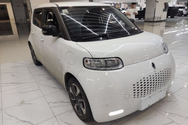 Used ORA White Cat 2020 401 km Long-Range Version Front Right 45 Deg