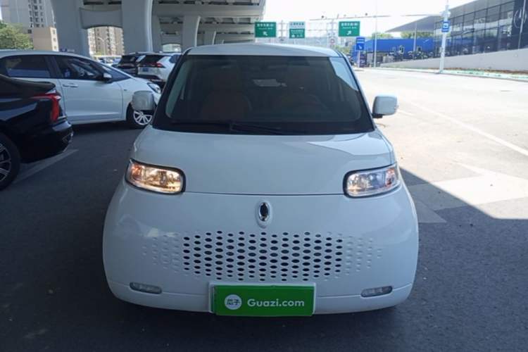 Used ORA White Cat 2020 360 km Luxury Version Front