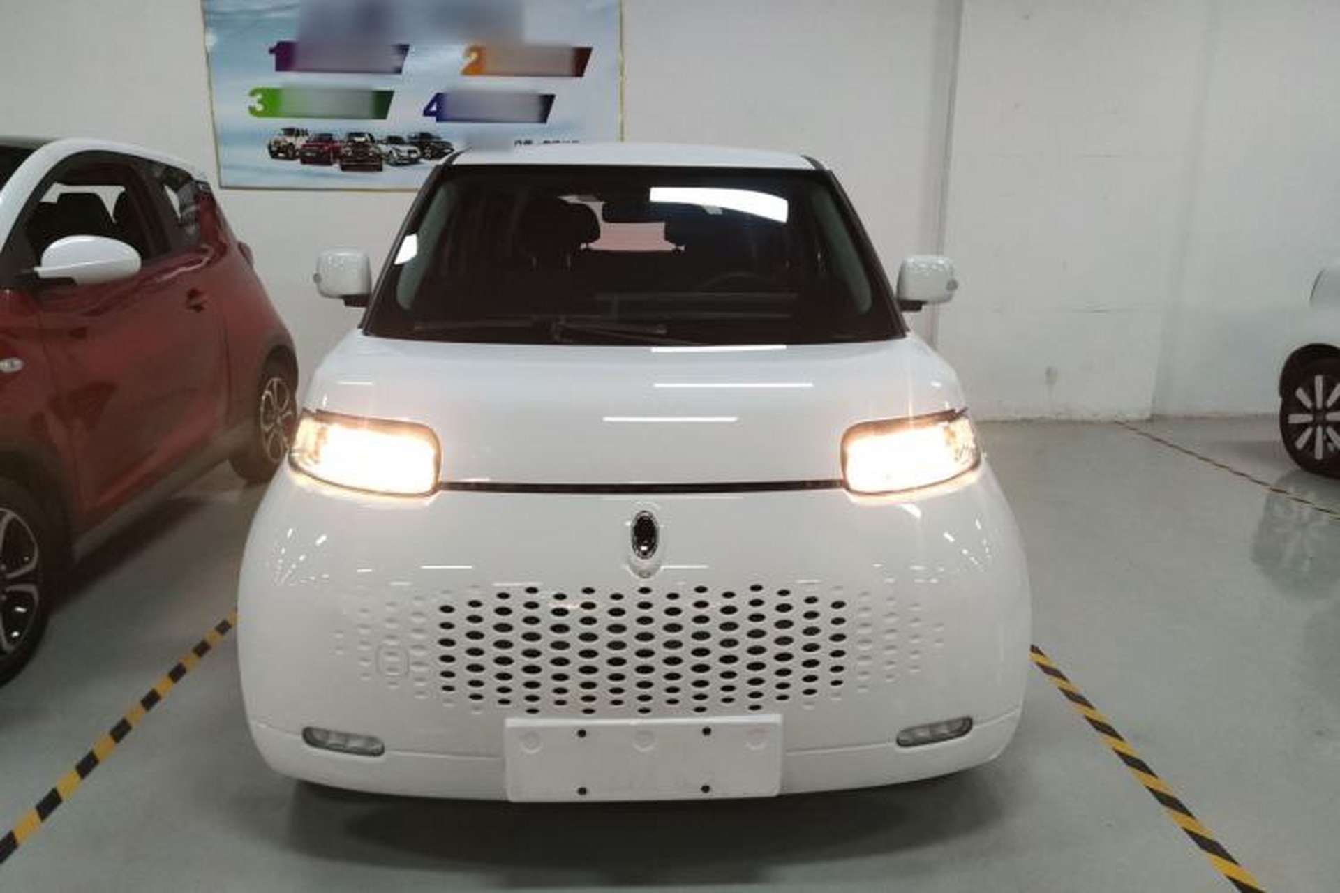 Used ORA White Cat 2020 305 km Luxury Version Front