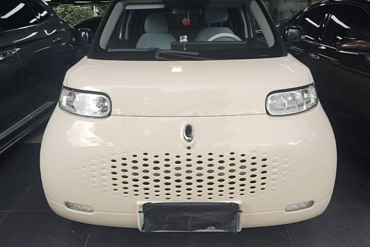 Used ORA White Cat 2020 305 km Luxury Version Front