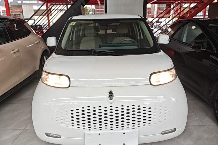Used ORA White Cat 2020 360 km Luxury Version Front