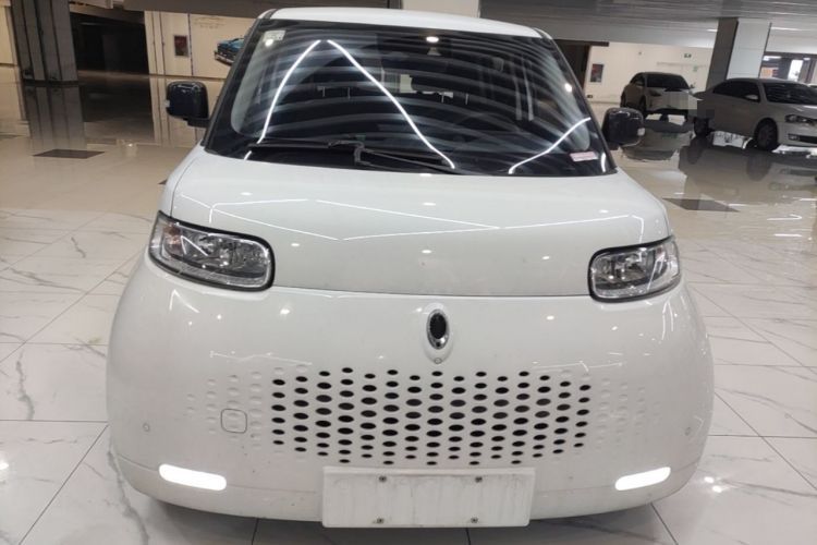 Used ORA White Cat 2020 401 km Long-Range Version Front