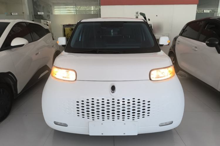 Used ORA White Cat 2020 360km Standard Version Front