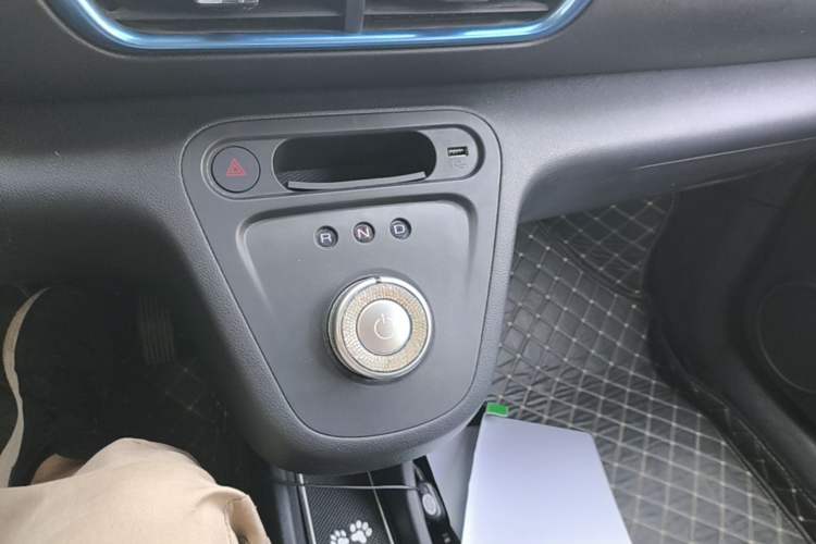 Used ORA White Cat 2020 305 km Luxury Version Gear Lever