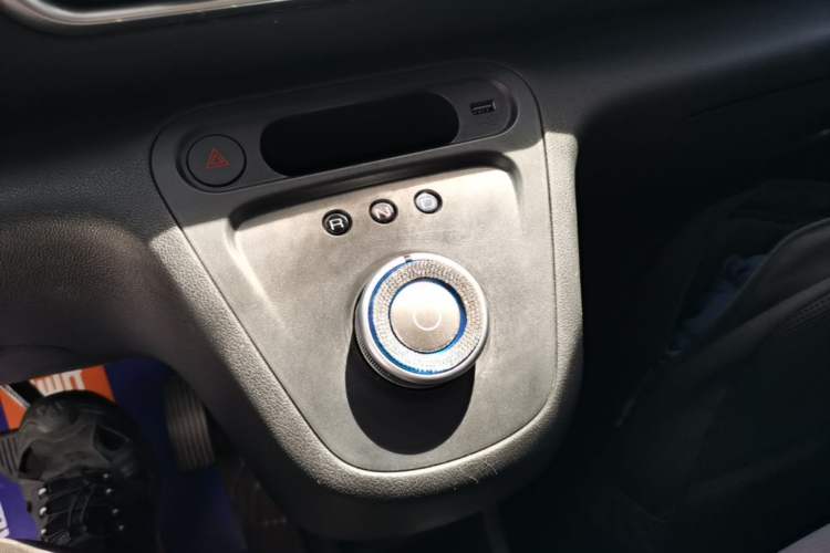 Used ORA White Cat 2020 360 km Luxury Version Gear Lever