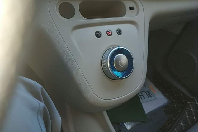 Used ORA White Cat 2020 401 km Flagship Version Gear Lever