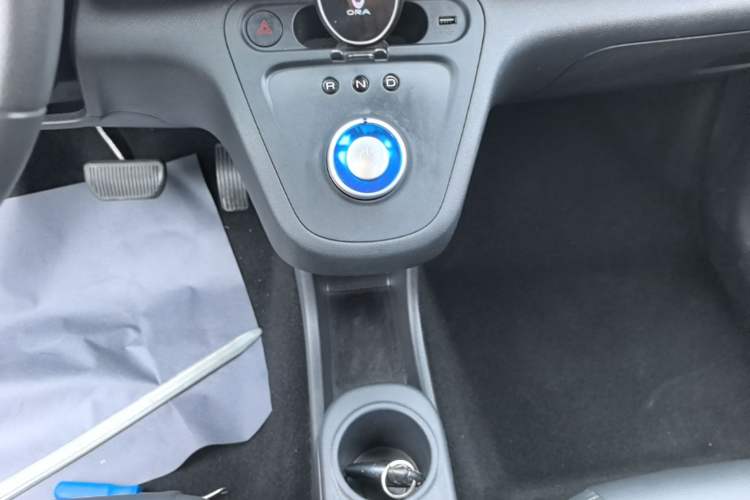 Used ORA White Cat 2020 401 km Flagship Version Gear Lever