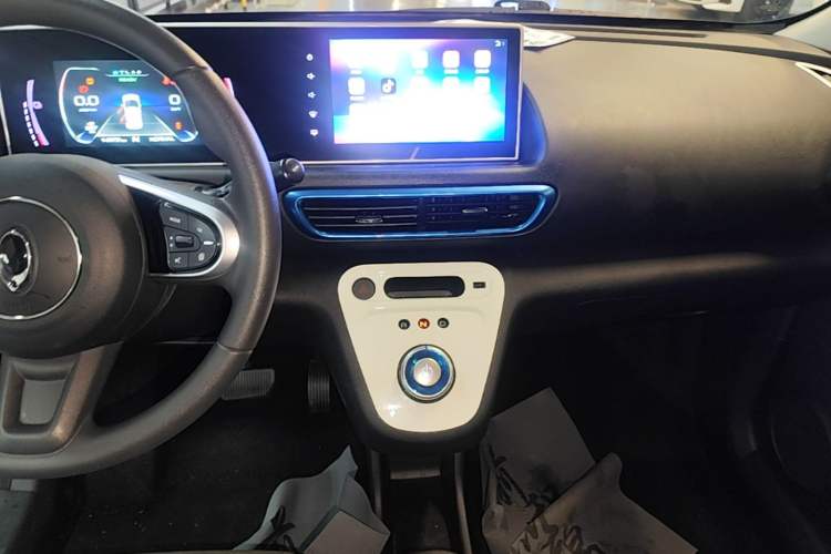 Used ORA White Cat 2020 360 km Luxury Version Gear Lever