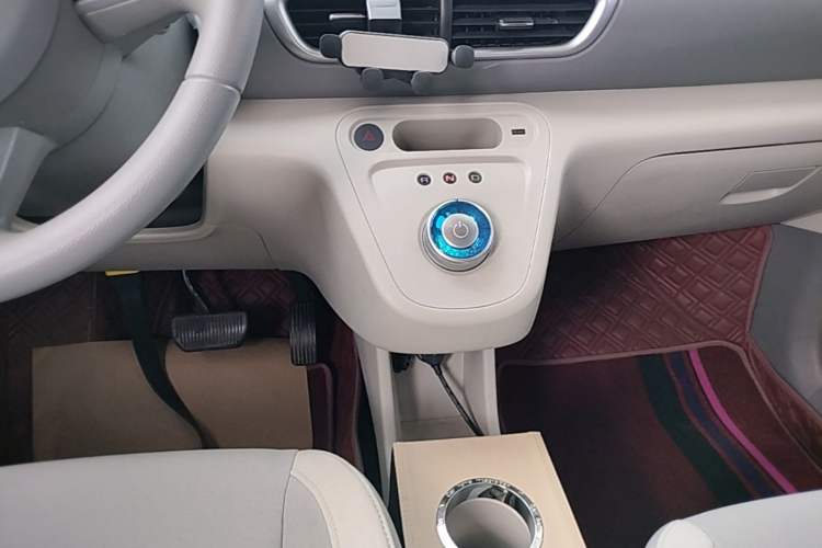 Used ORA White Cat 2020 305 km Luxury Version Gear Lever