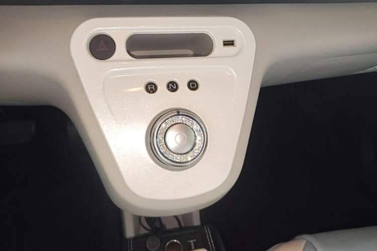 Used ORA White Cat 2020 305 km Luxury Version Gear Lever
