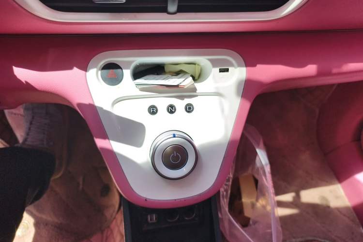 Used ORA White Cat 2020 305 km Luxury Version Gear Lever