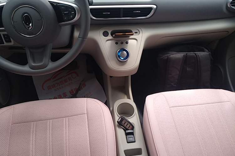 Used ORA White Cat 2020 360 km Luxury Version Gear Lever