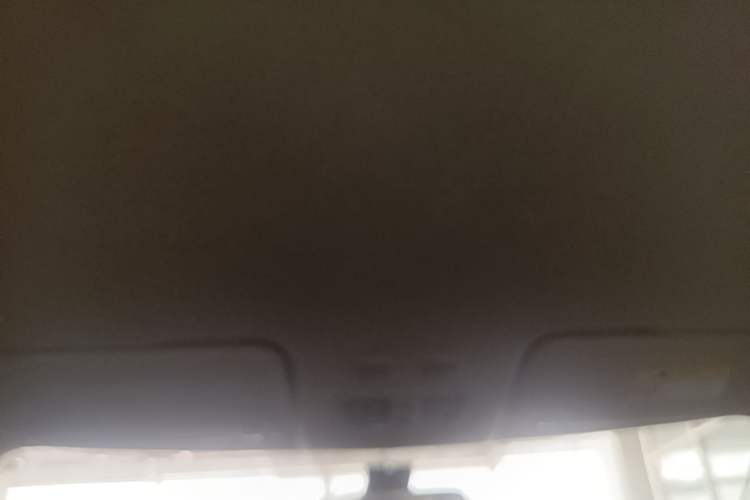 Used ORA White Cat 2020 360 km Luxury Version Headliner